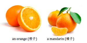 The correct terms for "orange" and "mandarin" in English and Chinese.